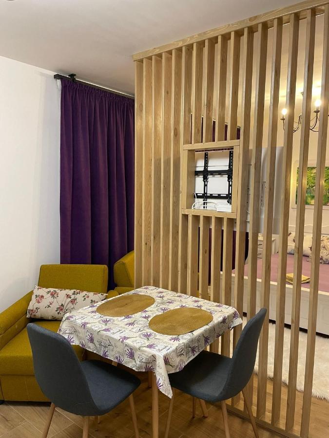 Apartament Gabriela 39 Baia Mare Eksteriør bilde