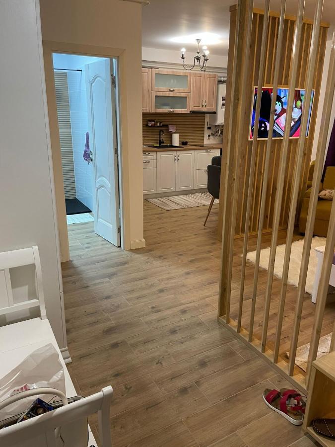 Apartament Gabriela 39 Baia Mare Eksteriør bilde