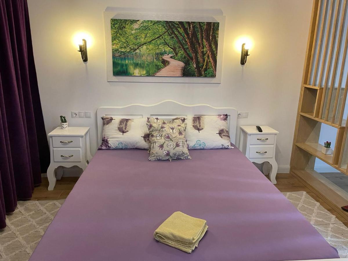 Apartament Gabriela 39 Baia Mare Eksteriør bilde