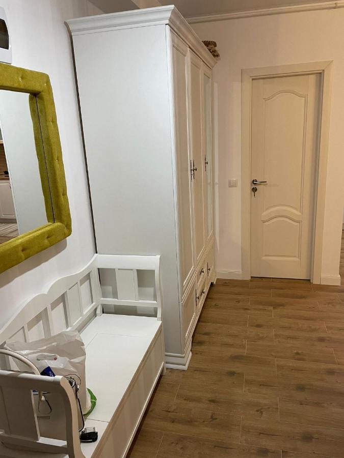 Apartament Gabriela 39 Baia Mare Eksteriør bilde