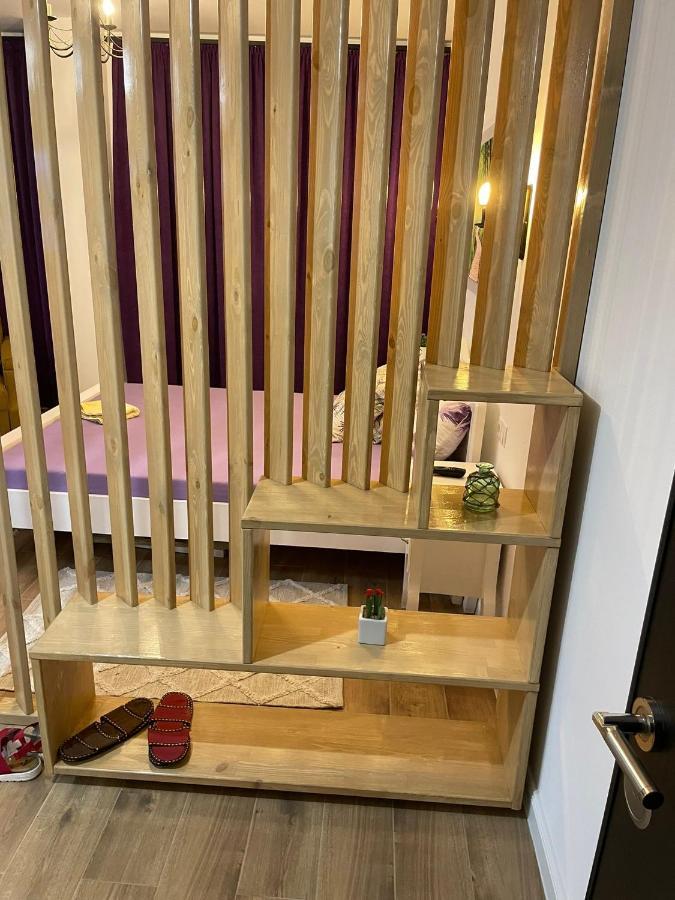 Apartament Gabriela 39 Baia Mare Eksteriør bilde