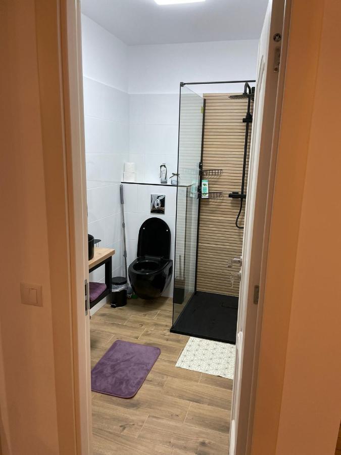 Apartament Gabriela 39 Baia Mare Eksteriør bilde