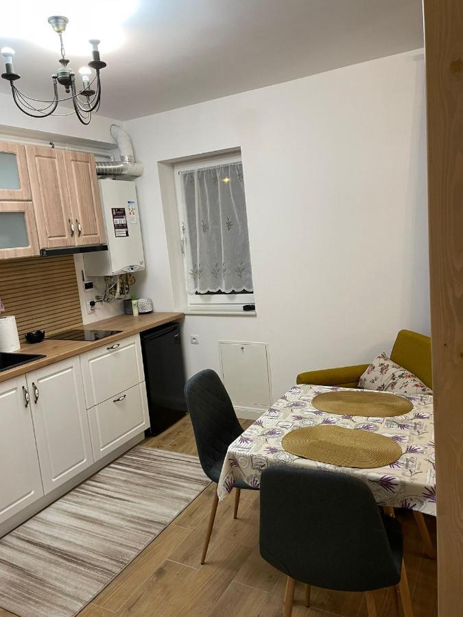 Apartament Gabriela 39 Baia Mare Eksteriør bilde