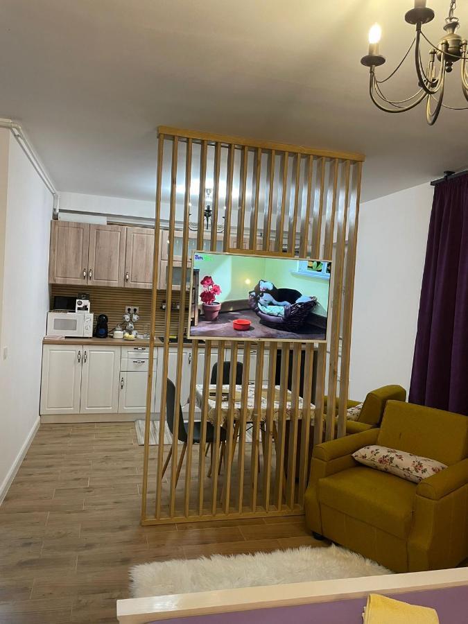Apartament Gabriela 39 Baia Mare Eksteriør bilde