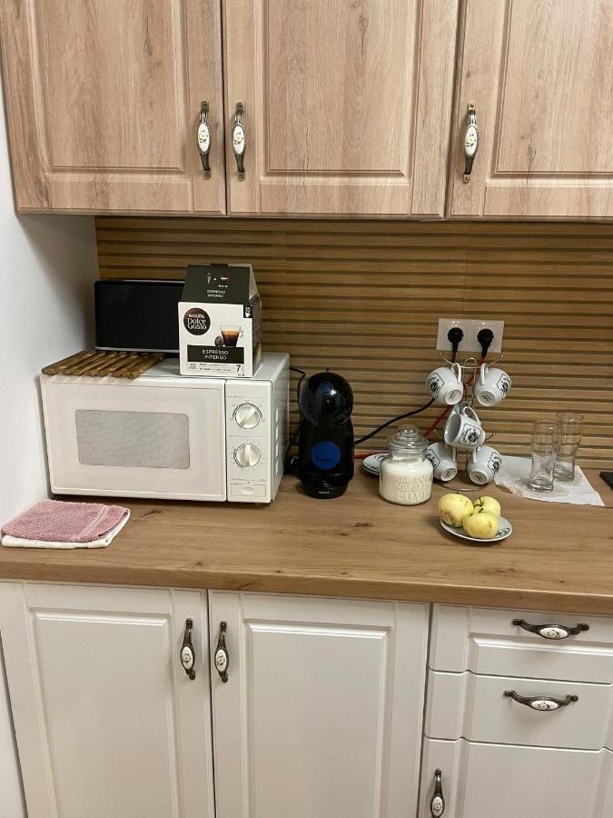 Apartament Gabriela 39 Baia Mare Eksteriør bilde