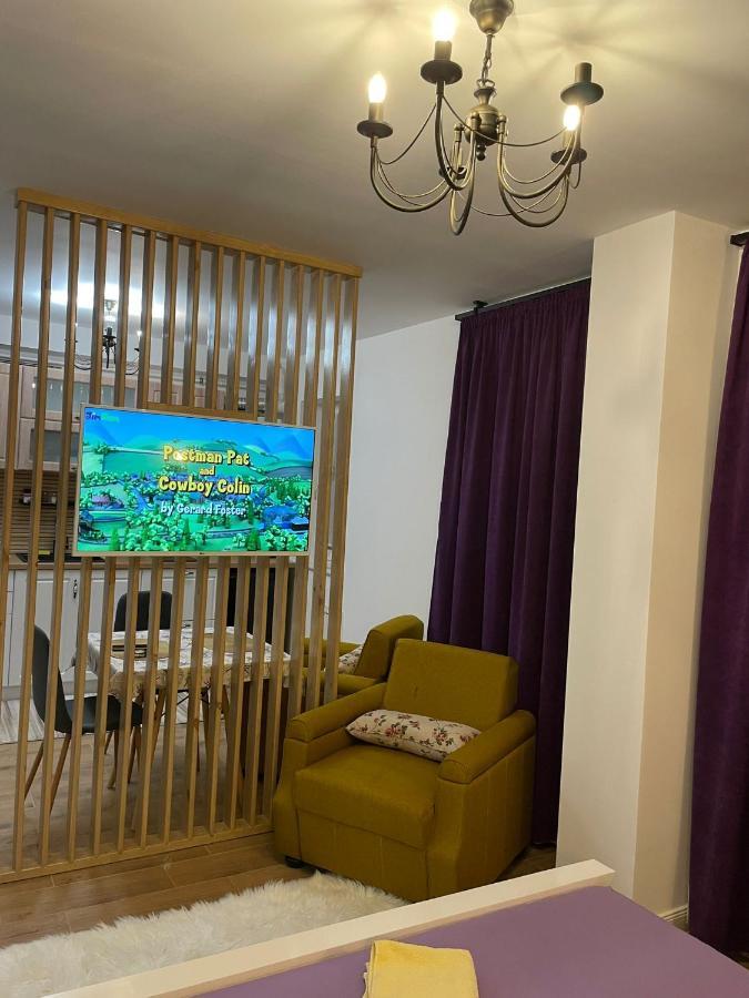 Apartament Gabriela 39 Baia Mare Eksteriør bilde
