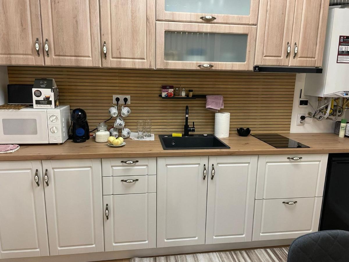 Apartament Gabriela 39 Baia Mare Eksteriør bilde
