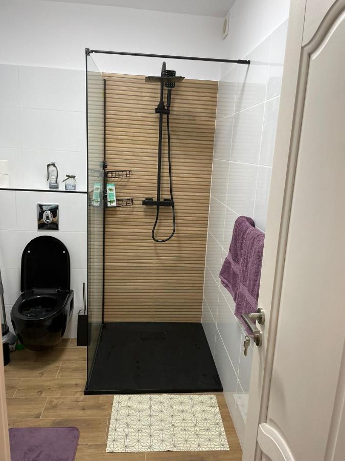 Apartament Gabriela 39 Baia Mare Eksteriør bilde